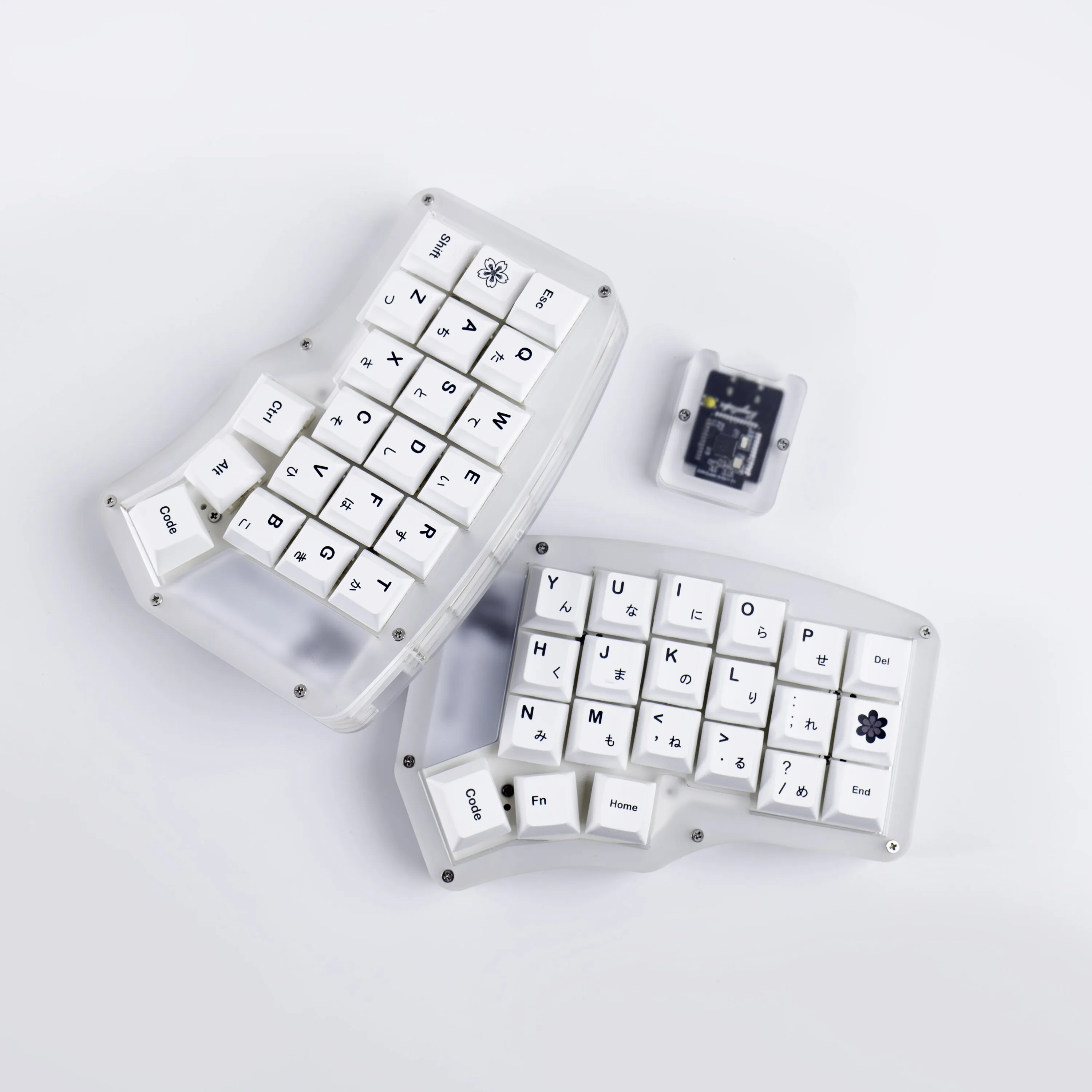 Cover image for My Dev Setup: Split Keyboards, Single Monitors, and Terminal Everything